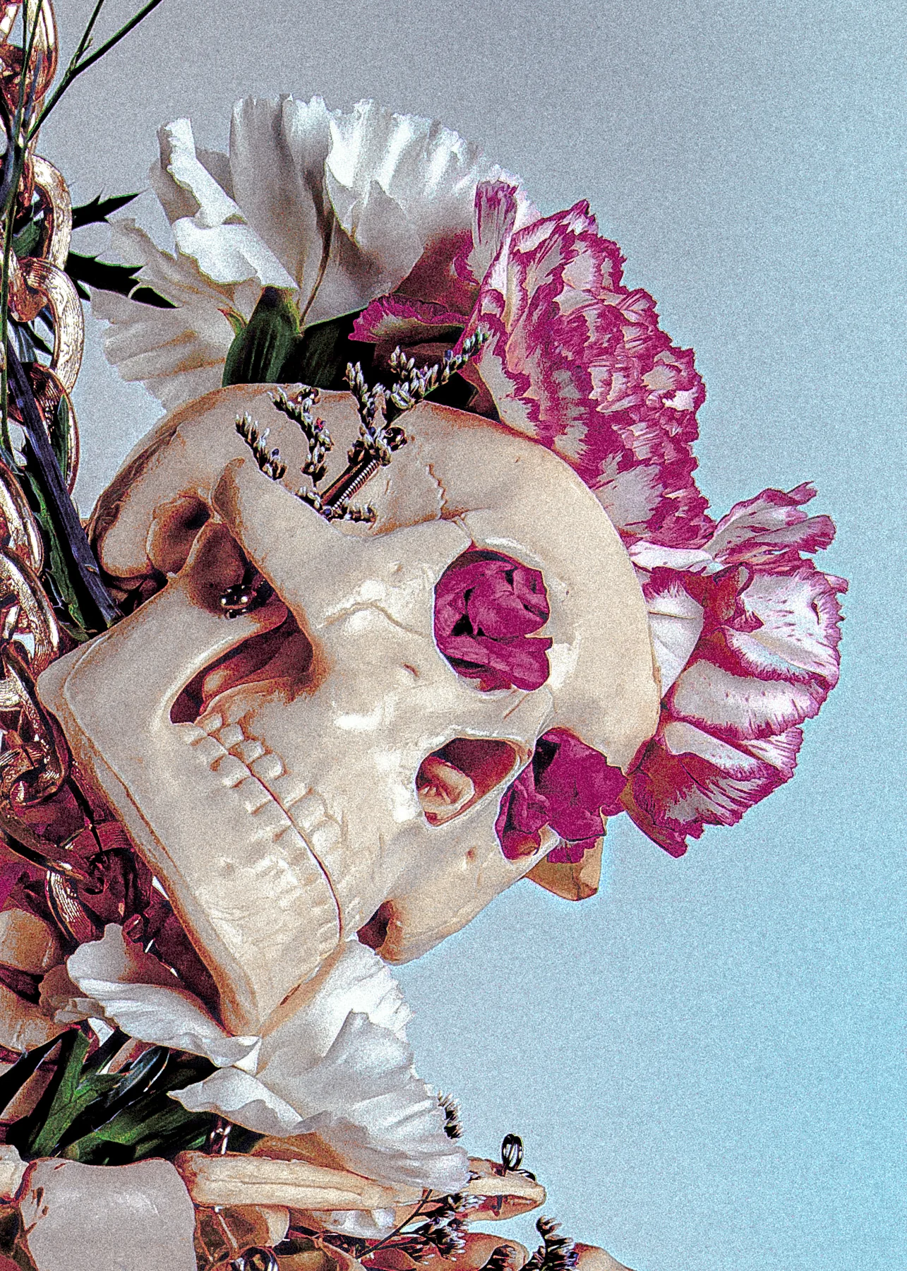 Skully skull and flower close-up